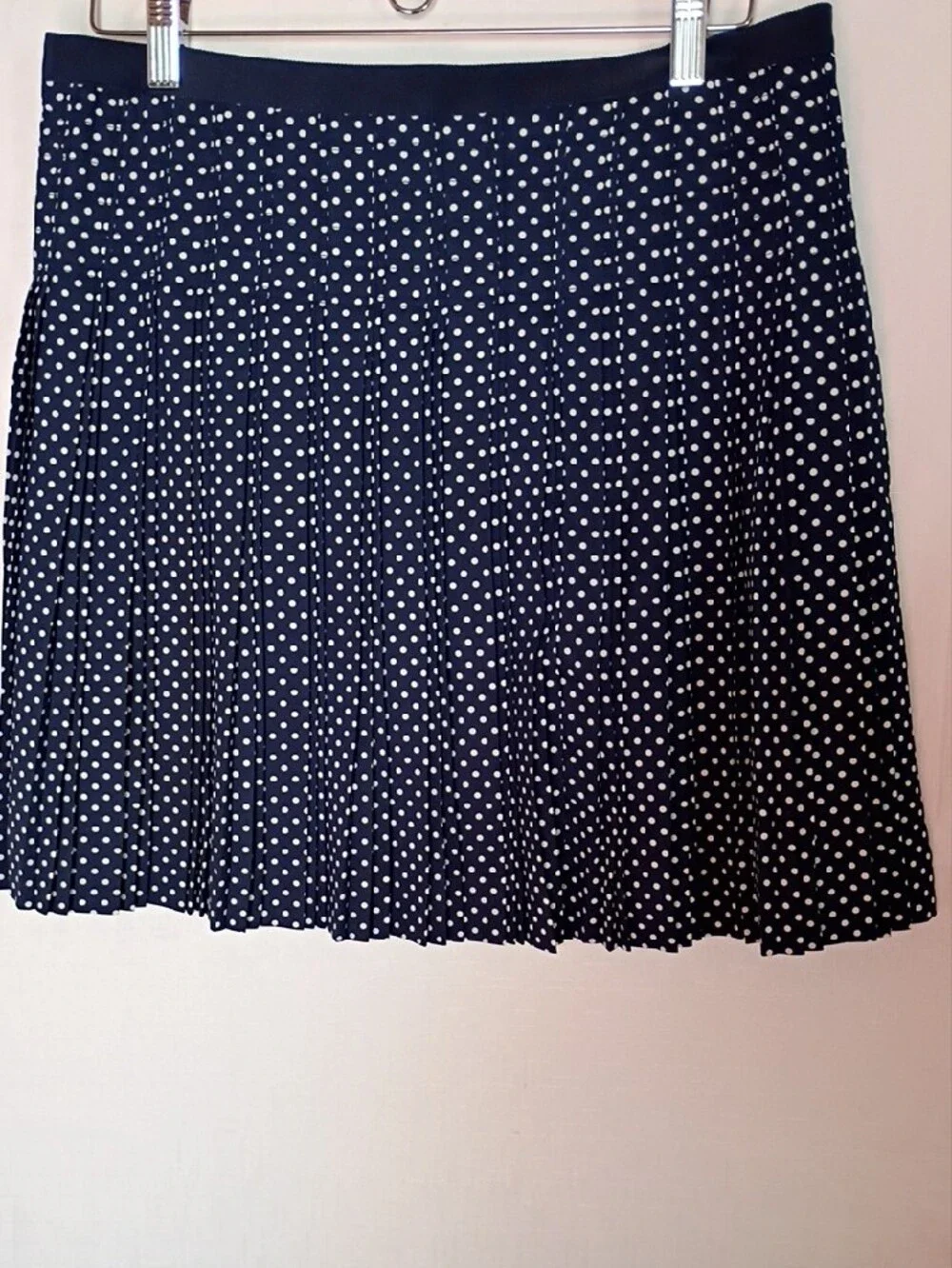 J. Crew Women's Navy and White Polka Dot Pleated Skirt Size 10